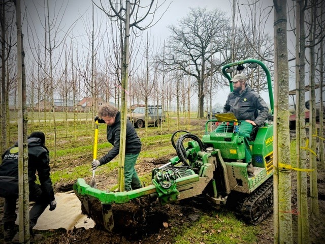 Allround medewerker boomkwekerij